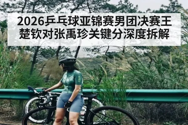 2026乒乓球亚锦赛男团决赛王楚钦对张禹珍关键分深度拆解
